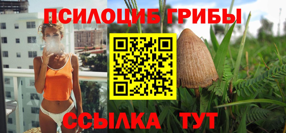Псилоцибиновые грибы прущие грибы Мыски