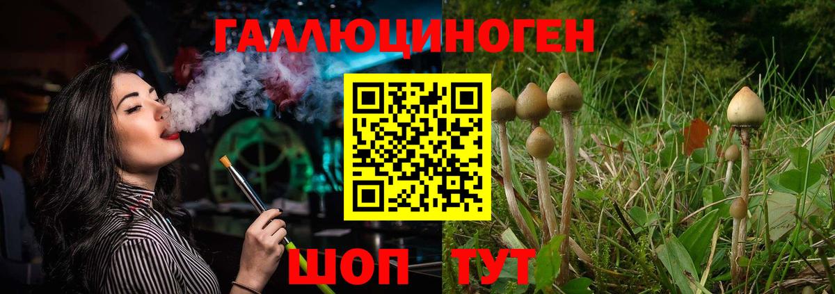 Мыски  Галлюциногенные грибы Magic Shrooms  Вход с VPN 
